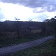 Old house for sale near Targovishte
