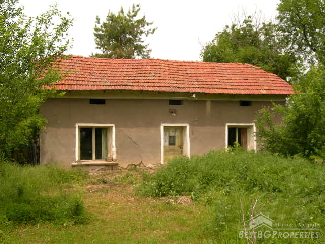 Single storey house with spacious garden