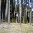 Plot In The Mountain