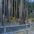 Plot In The Mountain