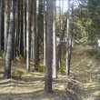 Plot In The Mountain
