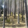 Plot In The Mountain