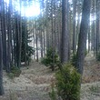 Plot In The Mountain
