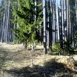 Plot In The Mountain