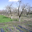 Plot of land for sale near Karnobat