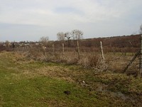 Regulated land in Tsarevo
