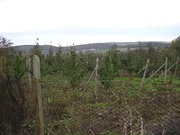 Regulated land in Elhovo