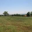 3000 sq m garden with a small house at the end of the village