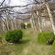 Property Near River