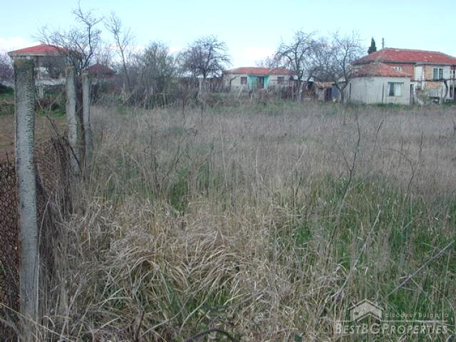 Regulated Land Near The Sea