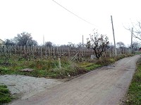 Regulated land in Kavarna