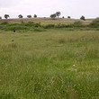 Regulated land for sale near Sandanski