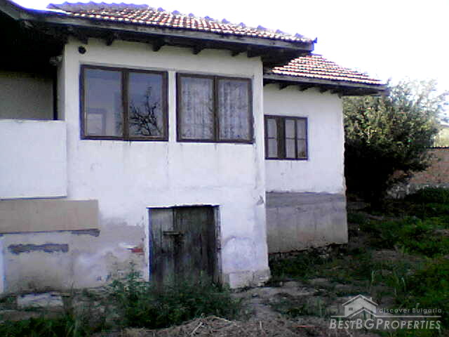 Repaired House Near Danube