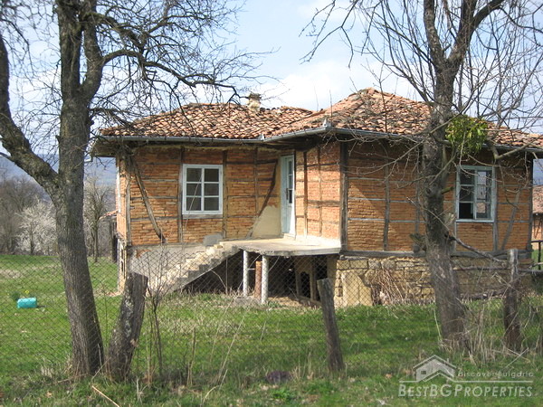 Solid rural house with additional building