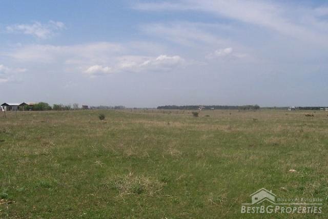 Lands for sale near Kavarna