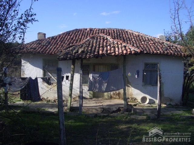 Small house with big land for sale