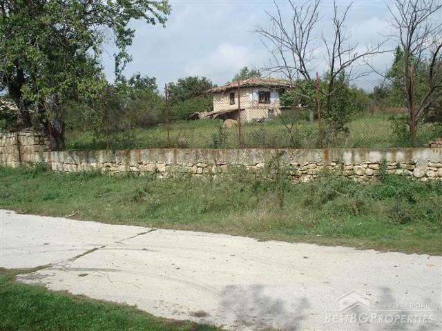 Two Houses In 4000 Sq M Garden