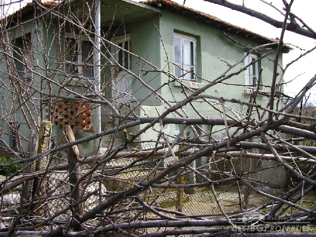 Two Storey House With A Large Yard