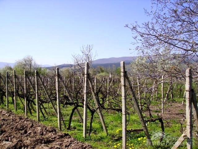 Wonderful Piece Of Land At The Foot Of The Mountain