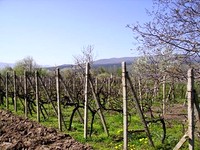 Regulated land in Kazanlak