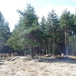 Wooden chalets on a lake close to Borovets