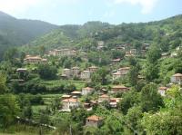 Dryanovo, Bulgaria, Dryanovo area information