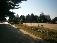 Sungurlare, Information about the town of Sungurlare