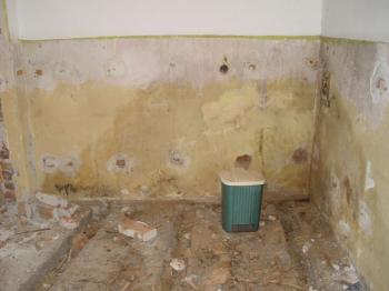 Rose and Robert Donegan